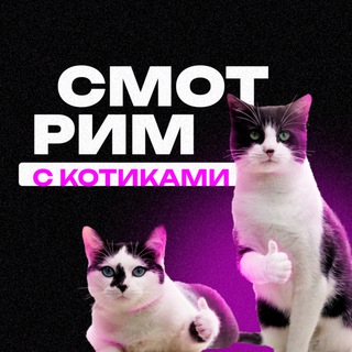 Логотип @smotrimskotikami - СМОТРИМ С КОТИКАМИ🍿 фильмы, сериалы, аниме, дорамы, что посмотреть