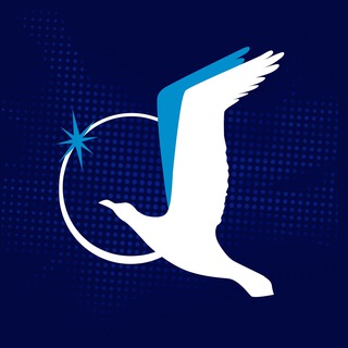 Логотип @smpesports - SMP Esports