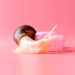 Логотип @snails_nn - УЛИТКИ И ЭЛИТКИ