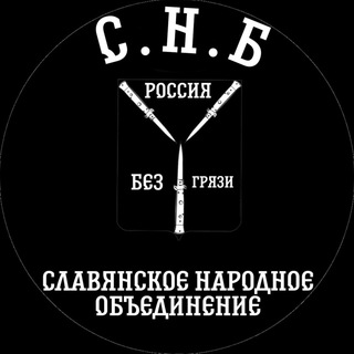 Логотип @snbrussia - Славянское Народное Братство