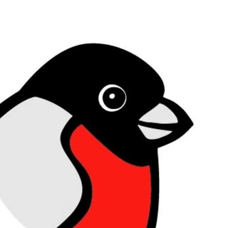 Логотип @snegir_media - СНЕГИРЬ