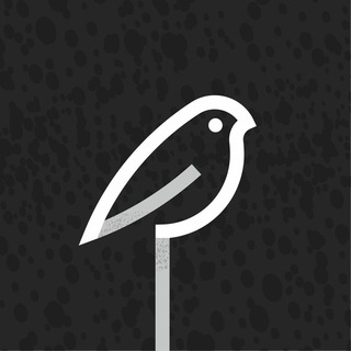 Логотип @snegiristudio - 🎬 Студия Снегири | Курсы для сценаристов, писателей, режиссеров 📚