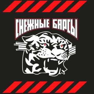 Логотип @snezhnyebarsy2012 - Снежные барсы 2012
