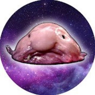 Логотип @snicklink0ffizieller - SNICKLINK ꙳