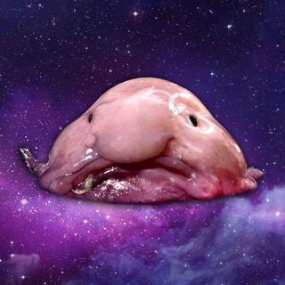 Логотип @snicklink3000 - Snicklink unzensiert