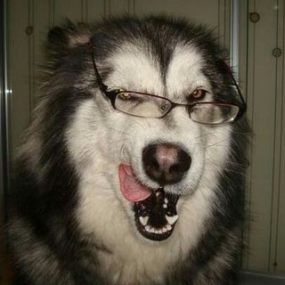 Логотип @snoopycomanded_55 - nicoleodeon roan