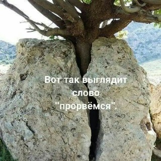 Логотип @snosvrossii - Нас лишают частной собственности