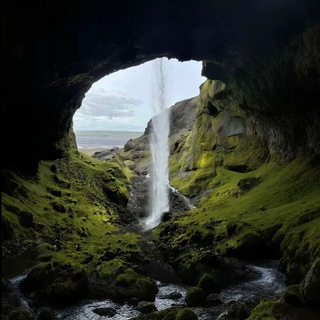 Логотип @snowyfalll - vivienne 3