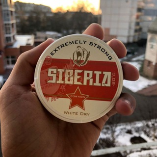 Логотип @snusbunch - SNUSBUNCH