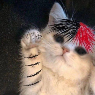 Логотип @so2shop_official - so2shoppp