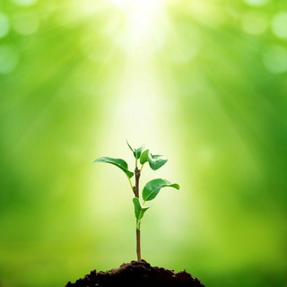 Логотип @so369so - Свободное образование