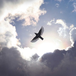 Логотип @so_smsl - Со смыслом