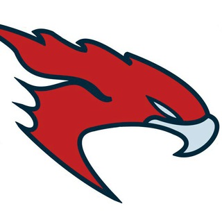 Логотип @soar1ng_falcon - Иван Бражников