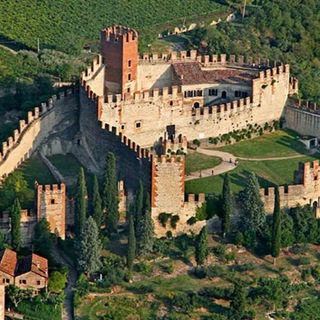 Логотип @soaveinfo - SOAVEINFO