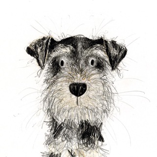 Логотип @sobachkadnya - Собачка дня