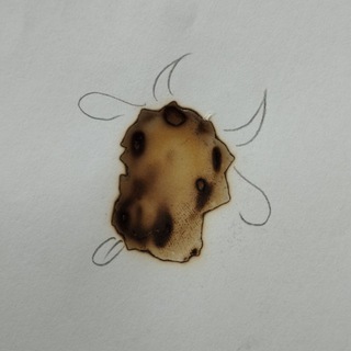 Логотип @sobadeadflower - S O B A