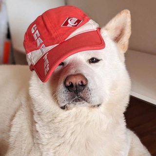 Логотип @sobak_spartak - sobak_spartak