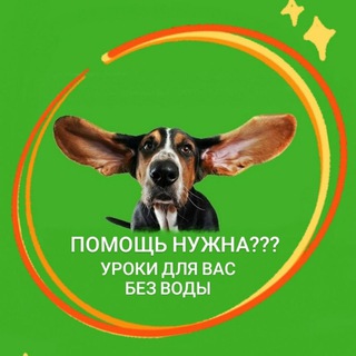 Логотип @sobaka9999 - Помощь для начинающих в инстаграм