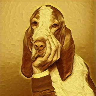 Логотип @sobakapavlovna - Собака Павловна | Рефлексы богатых людей