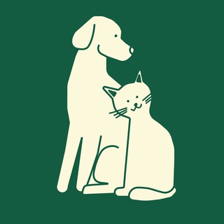 Логотип @sobaki_nekrasovka - Приют Некрасовка, 7 сектор, Москва