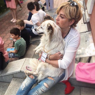 Логотип @sobaki_vdar - sobaki_vdar