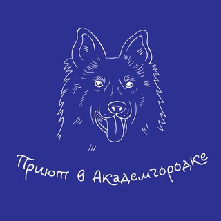 Логотип @sobakinakadem - Приют Академгородка