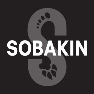 Логотип @sobakinnews - SOBAKIN®