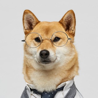 Логотип @sobakovy - Собаковый и всяковый | Dogs and other animals