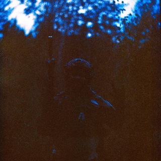 Логотип @sobolsays - Sobol Says 📢