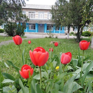 Логотип @soch8lev - МБОУ СОШ8 с.Левокумка