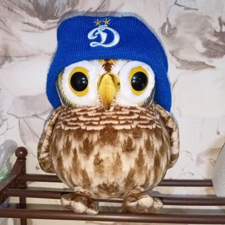 Логотип @sochtovayapova - Сочтовая Пова