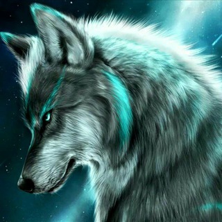 Логотип @sociopathicwolves - Sociopathic Wolves🐺