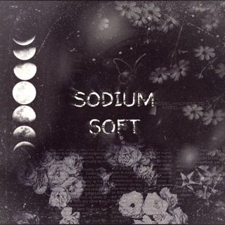 Логотип @sodiumsoft - Sodium soft🌴