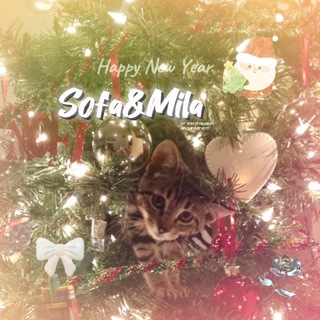 Логотип @sofaandmila - 𝙎𝙤𝙛𝙖&𝙈𝙞𝙡𝙖||☃️🎄🎀