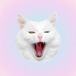 Логотип @sofiadelmonstroo - SOFIADELMONSTRO