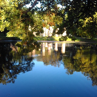 Логотип @sofiavige - Софи Виге. Что-то про творчество и дурацкие мысли