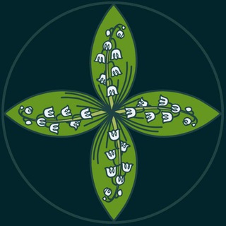 Логотип @softmedicine - SOFT MEDICINE