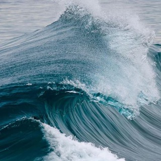 Логотип @sohranya_i - с о х р а н я й