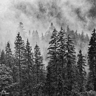 Логотип @sointerest - Музыка из ряда вон