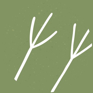 Логотип @sojkinsled - Лесная школа «Сойкин след»