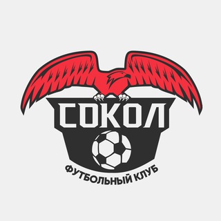 Логотип @sokolkids - ФК «СОКОЛ», только детский