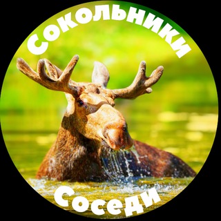 Логотип @sokolnikisosedimoscow - Сокольники Соседи