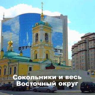 Логотип @sokolnikivo - "Сокольники и весь Восточный округ"