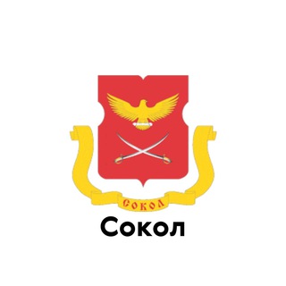 Логотип @sokoltoponline - Сокол