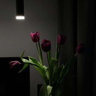 Логотип @solloporti - solloporti