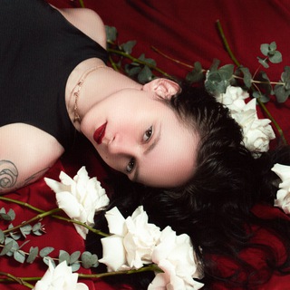 Логотип @solnoxed - SOLNOX