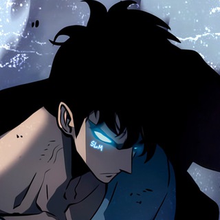 Логотип @sololevelingmemes - Solo Leveling Memes | Поднятие Уровня В Одиночку: Рагнарёк | Solo Leveling Arise