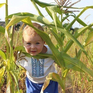 Логотип @solomia_ua - Соломія Українець