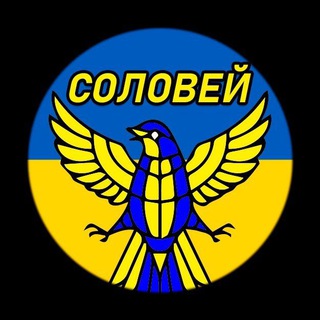 Логотип @soloveyinfo - Соловей | Украина Новости