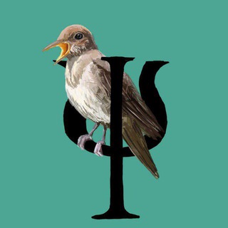 Логотип @solovieva_olga - Соловьева заливает